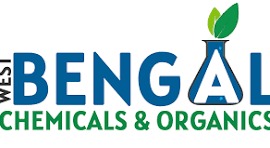 Bengal Chemical client logo