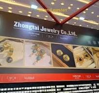 Zongtai client logo